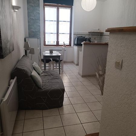 Grand Studio Meuble Chez Coco Romans-sur-Isere Bagian luar foto