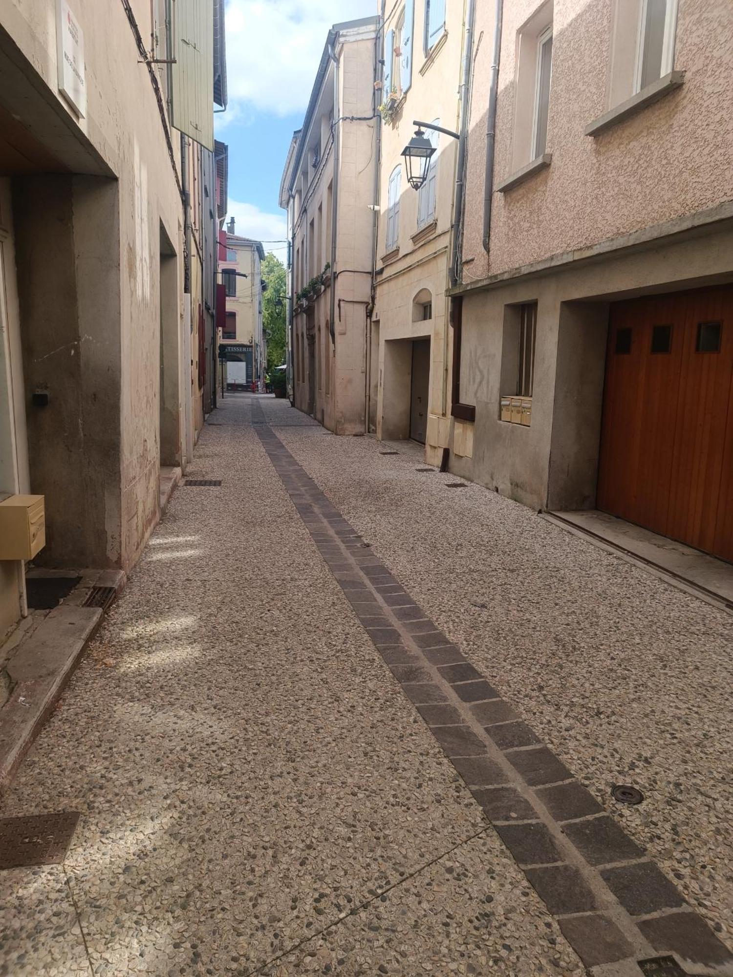 Grand Studio Meuble Chez Coco Romans-sur-Isere Bagian luar foto