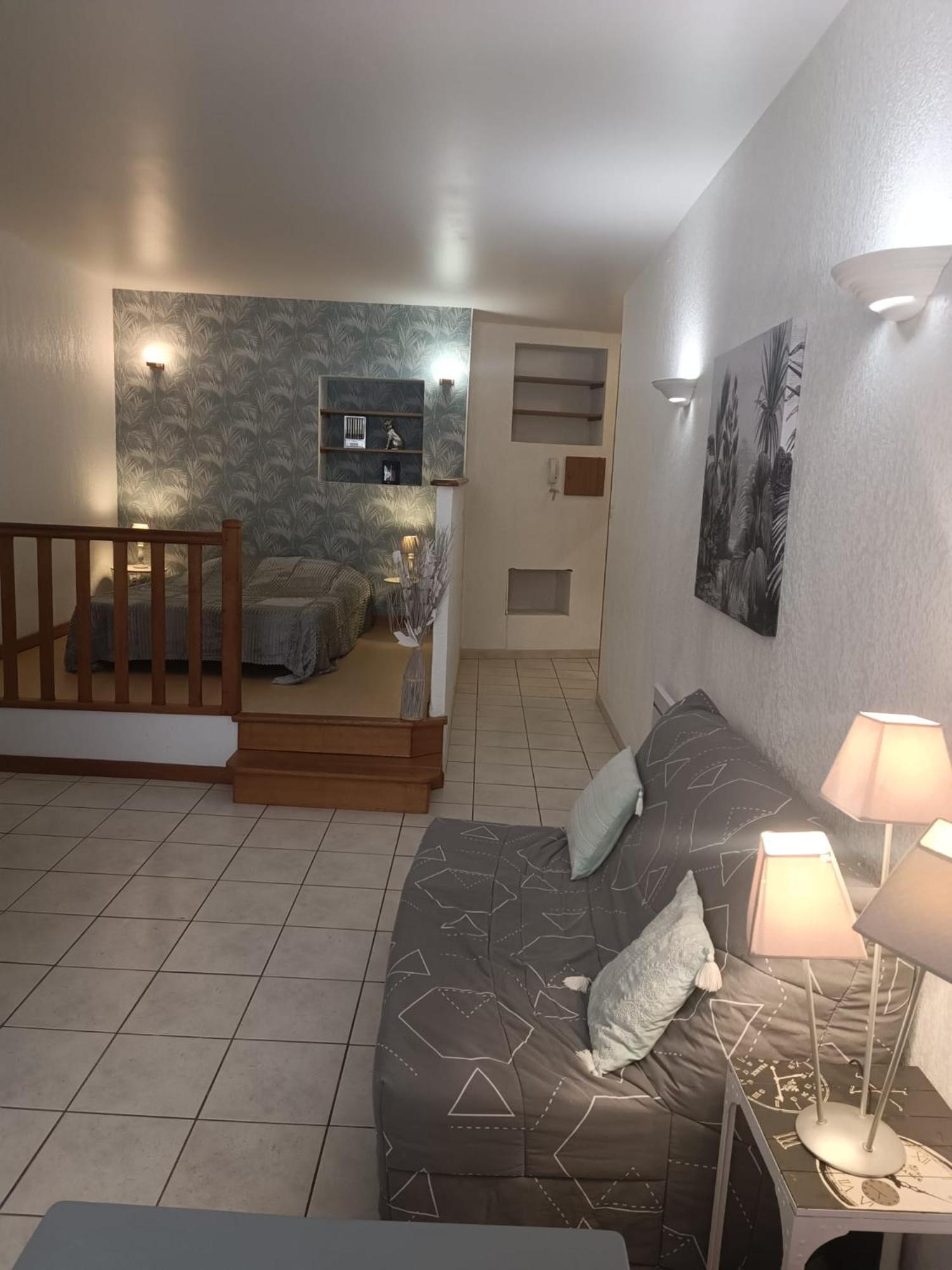 Grand Studio Meuble Chez Coco Romans-sur-Isere Bagian luar foto